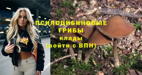экстази Баксан